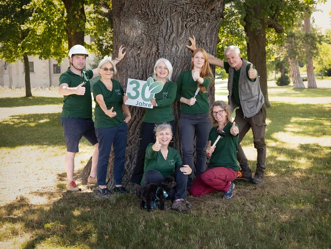 Blick nach oben in einem Innenhof mit Bäumen